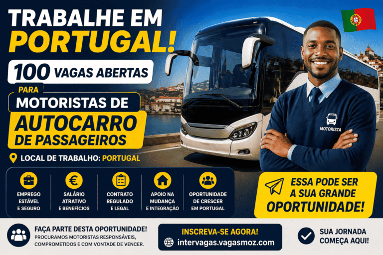 Trabalhe em Portugal: 100 Vagas Abertas para Motoristas de Autocarro de Passageiros!
